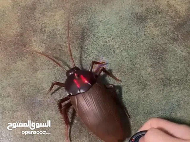 لعبة صرصور مخيفه للمقالب والضحك لاسلكيه