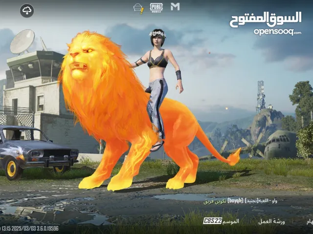 Pubg Accounts and Characters for Sale in Salt