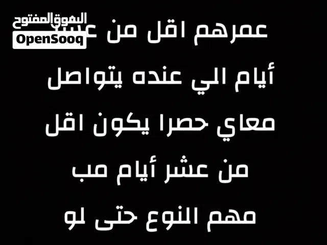 محتاج كلب عمره اقل من عشر أيام يكون تبني مجاناً ضروري يكون اقل من عشر أيام