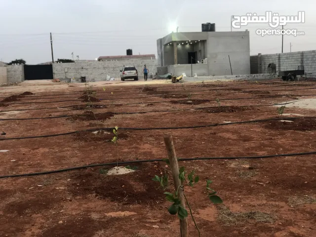 مزرعه في سيدي خليفة طريق 17 مشروع ر 1