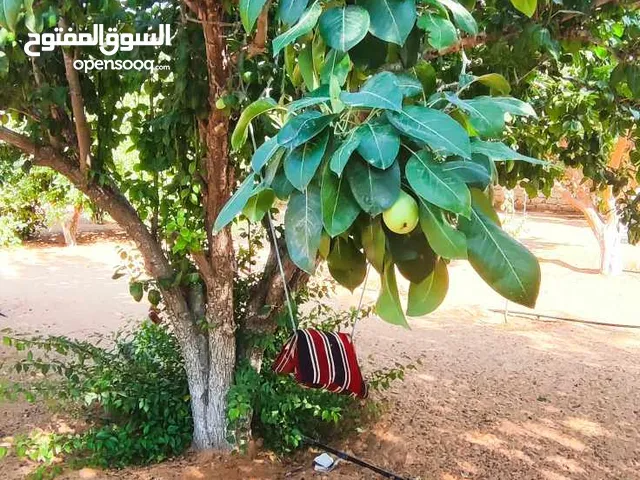 Residential Land for Sale in Tripoli Al-Baesh
