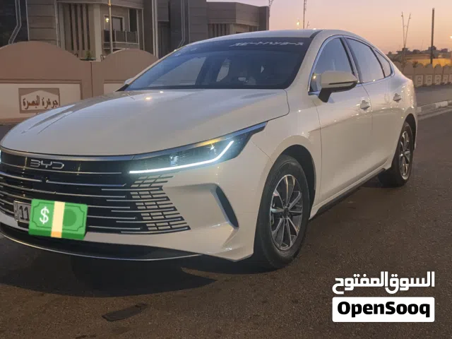 2025 بي واي دي ديستروير