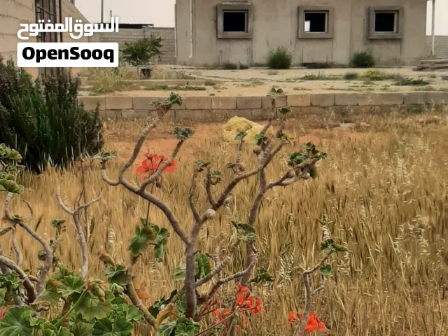استراحة في الطلحية شارع الغاز