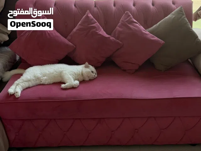 كنب مقعدين sofa 2 seater seats