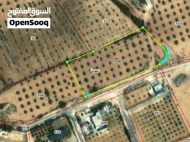 Farm Land for Sale in Tafila Al-Ayes