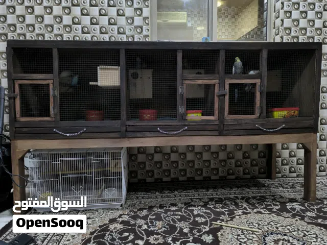 للبيع قفص جاهز وفيه طوس الماي و الاكل موجودين ملاحظه بدون العصافير