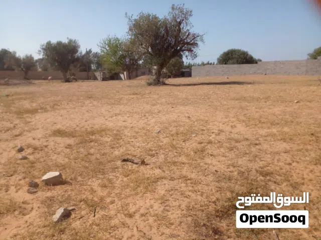 Residential Land for Sale in Tripoli Tajura