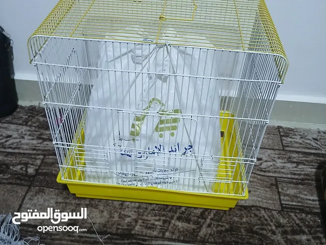 قفص عصفور للبيع