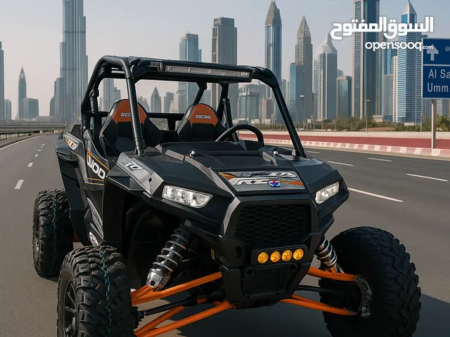 Polaris 1000 2014 model