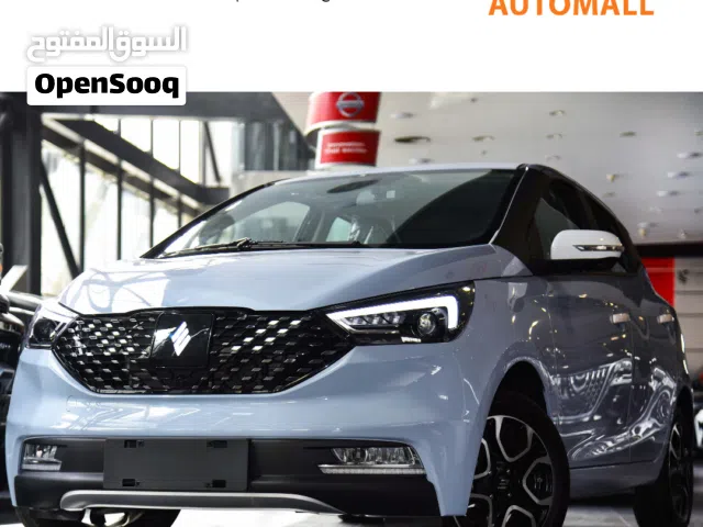 2026 JMEV EV3