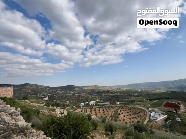 قطعة أرض للبيع في أجمل المناطق في جرش النبي هود خلف جامعة