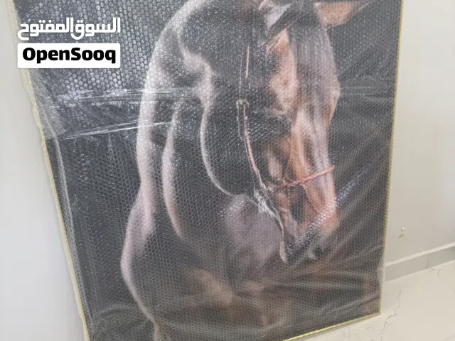 Picture horse