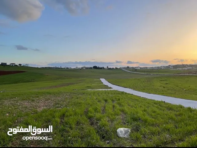 Farm Land for Sale in Mafraq Bowaydet Al Hawamdeh