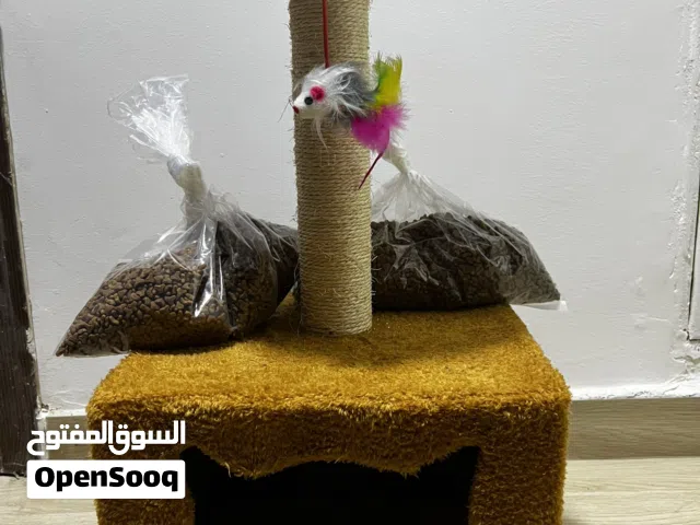 مسلتزمات قطة كاملة