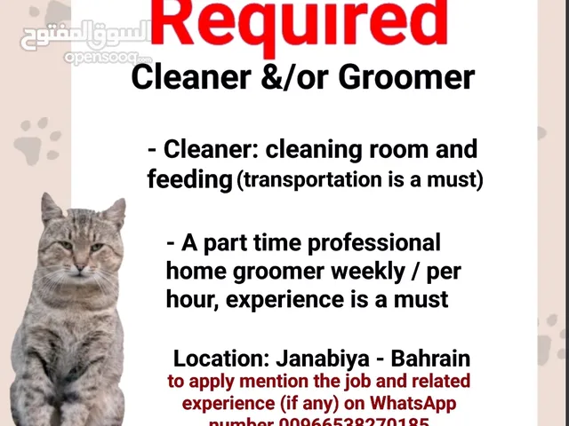 wanted room cleaner / groomer