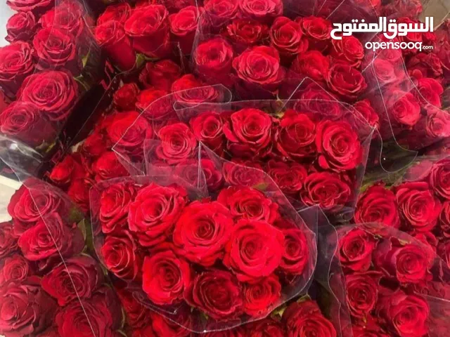 ورد الروز بالجملة