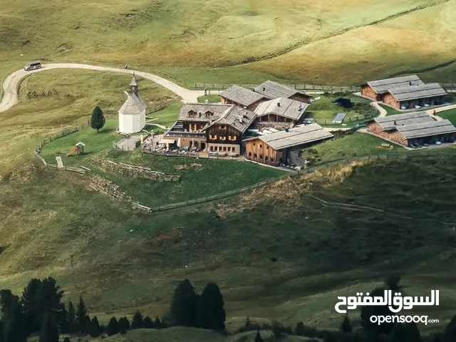احتاج شريك ممول لمشروع ناجح جدا ودخل يومي مستمر في شاليهات واستراحات جاذبه للزبائن في افضل الاماكن