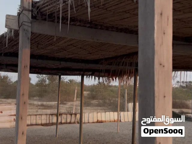 شبوك وسبل للبيع