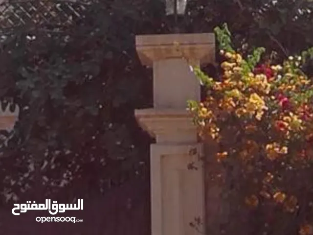 فيلا ابوالحصانية على البحر مباشرة