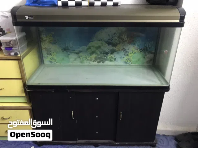 حوض سمك اجنبي