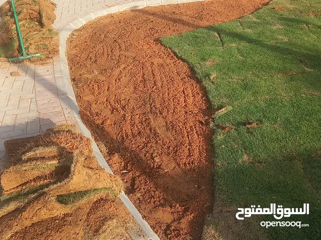 تنسق حدائق وتيل طبيعي يوجد لدي جميع أنواع الزهور وجميع انواع النخل وشلالات وجميع انواع الزهور وتركيب