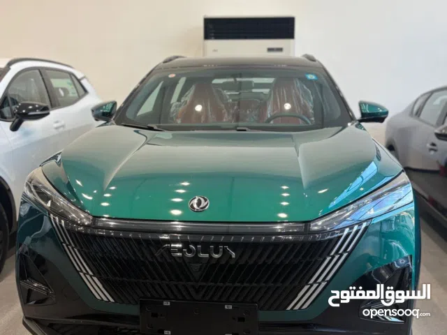 دونج فينج 2025 زيرو