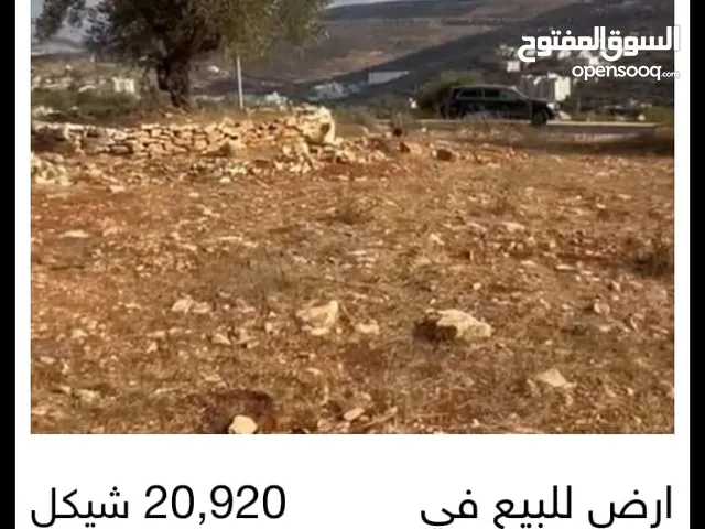 Farm Land for Sale in Jericho Al-Auja
