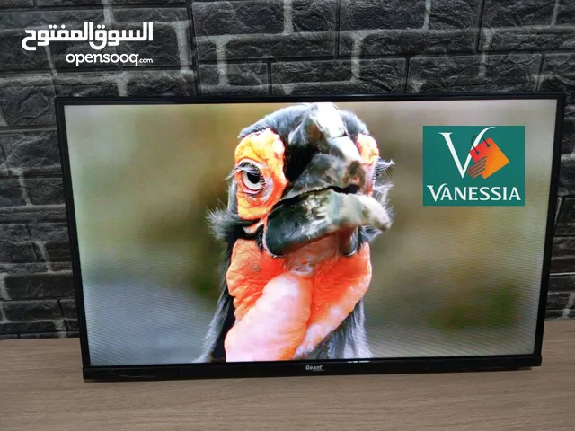 Tv 43P Android 14 Marque Géant + Démo Intégrer