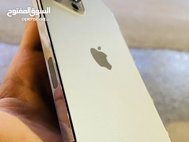 iPhone 13 Pro Max 512