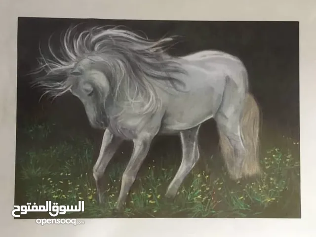 Awarded Masterpiece – “Wild Horse in the Field” – 70x50 cm – Colored Pencil & Pastel