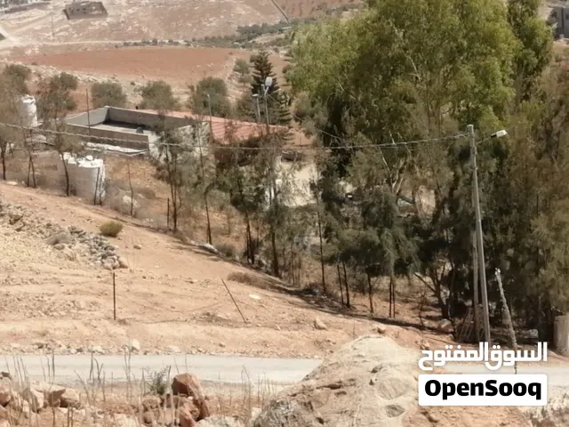 Farm Land for Sale in Jerash Other
