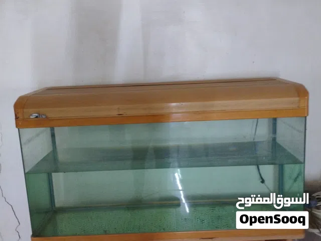 حوض سمك كبير
