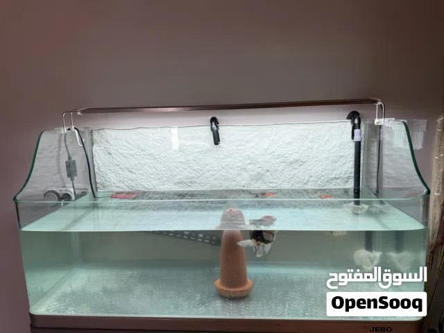 حوض سمك مع فلتر مي