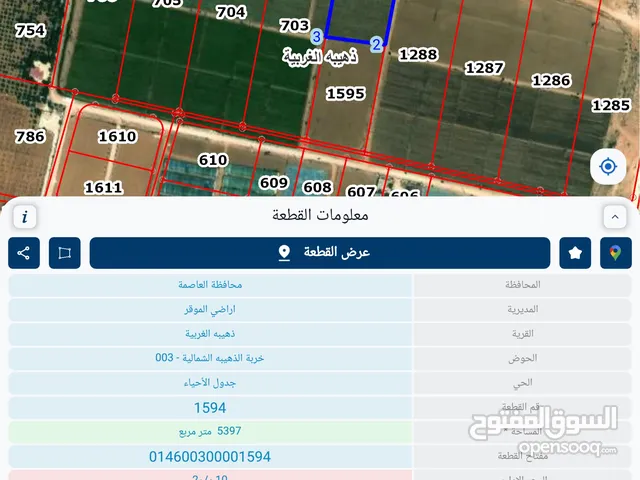Farm Land for Sale in Amman Al-Dhuheibah Al-Gharbiyah