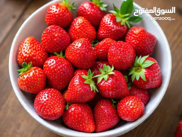 فرواله للبيع جمله لا أي محافضه