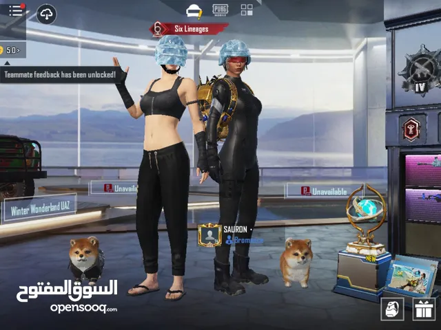 Pubg Accounts and Characters for Sale in Zarqa