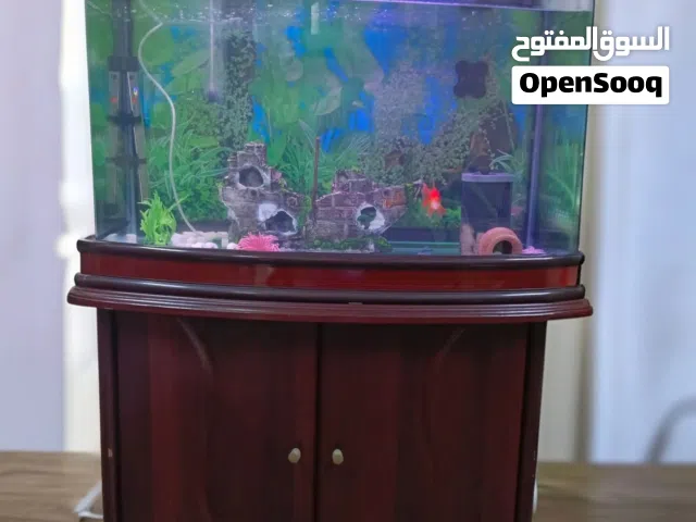 حوض اجنبي نوبل