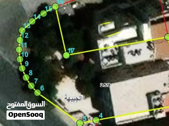Commercial Land for Sale in Amman University Street
