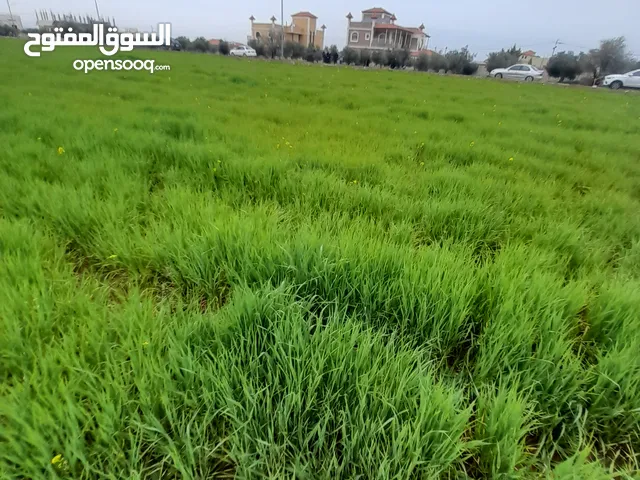 اراضــي للبيــع في مادبـــــا حوارة مفروزة سكن أ وزراعي مميزة مستوية باسعار مناسبة