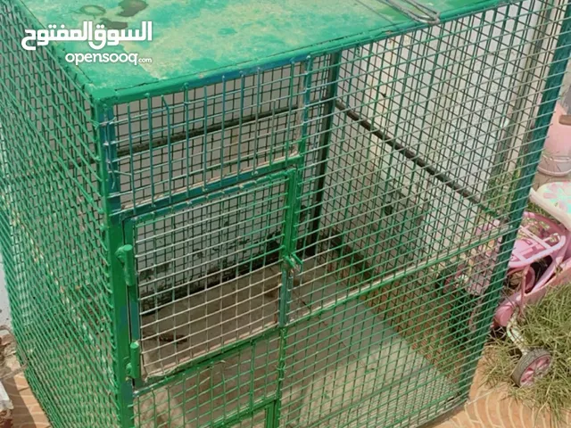 أقفاص للبيع