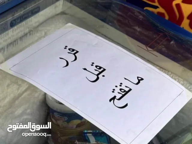 مطلوب ذكر جيرمن شيبرد مستوى عالي
