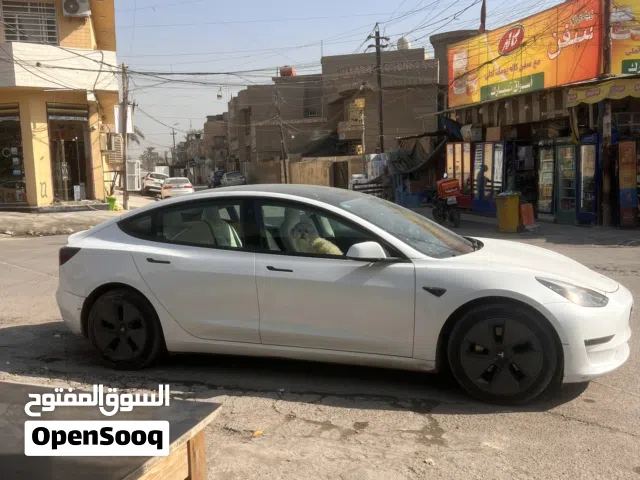 2023 تيسلا موديل 3 Standard
