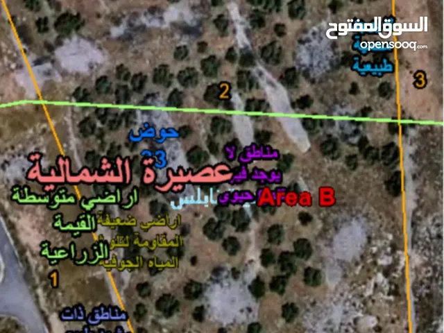 ارض عصيرة الشمالية منطقة العواريض