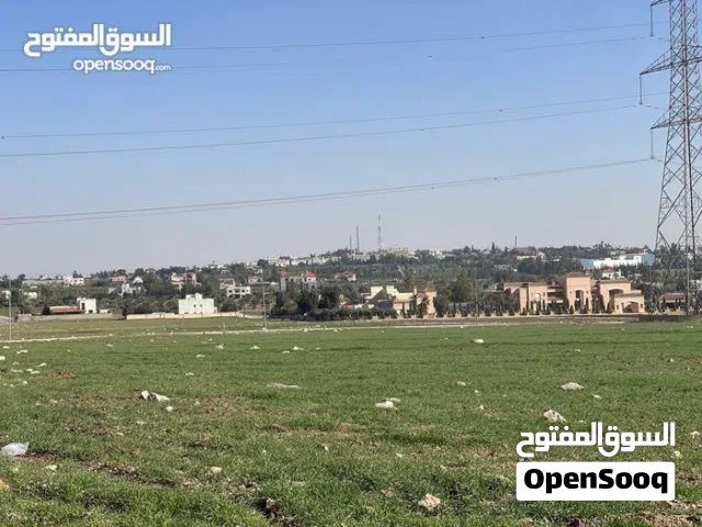 Residential Land for Sale in Amman Umm Al-Amad