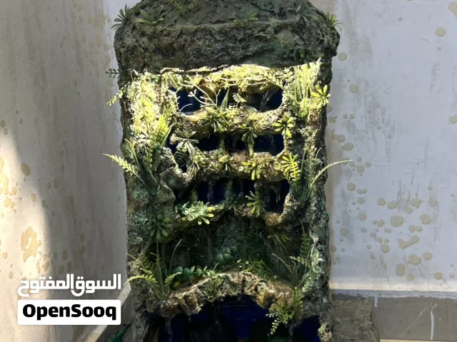 نافوره شغاله