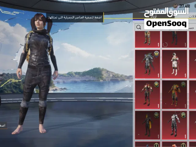 Pubg Accounts and Characters for Sale in Mansoura