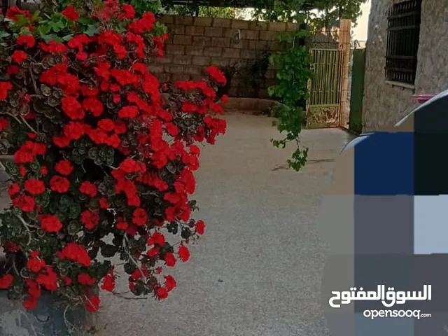 Mixed Use Land for Sale in Zarqa Rajm Al Shawk