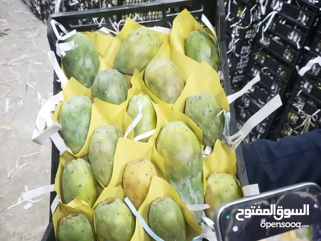 تين شوكي يمني للتصدير