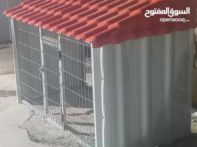 اقفاص دجاج