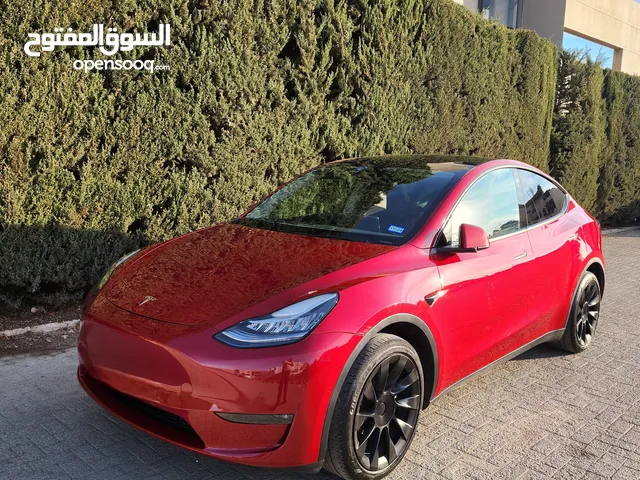 Used Tesla Model Y in Amman